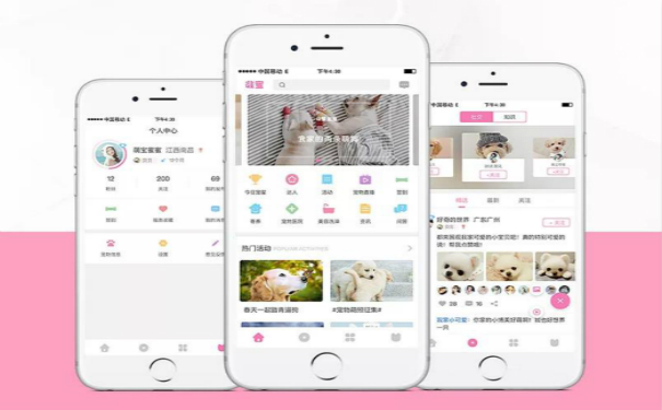 徐州寵物健康服務APP開發方案淺析